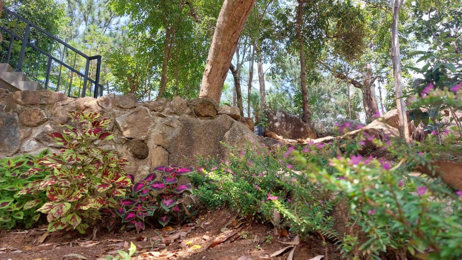 Rock N Fall Nature Resort Ella Extérieur photo